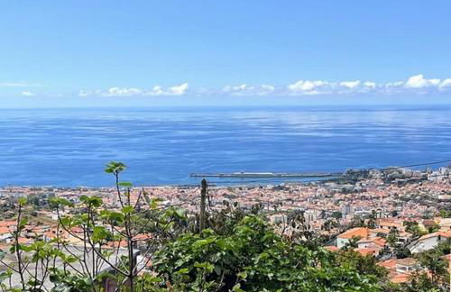 Casa D'Avó Filó - Foto 15