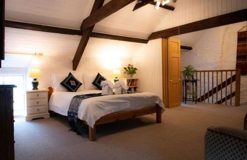 Yr Hen Efail - Old Smithy - Foto 31