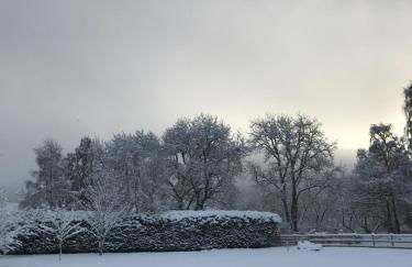 Ridgewood Apartment - Foto 28