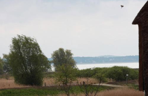 Villa Butterblume - Foto 6