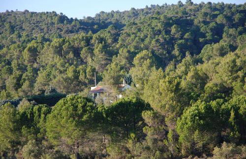 La petite Cigale - Foto 26