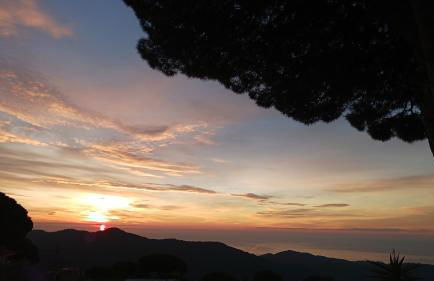 Parc du Montnegre avec magnifique vue mer - Foto 20