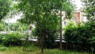 Casa Graziella - Photo 4, Garden view