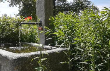 Marxhof Seebruck am Chiemsee - Photo 33