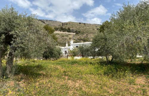 Finca Las Fuentezuelas - Foto 76