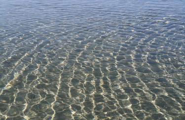 L'oasi di Angela, CIN IT11163C2000Q5074 - Foto 18