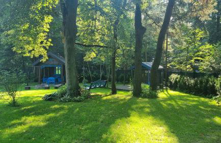 Niezapominajka - Foto 15