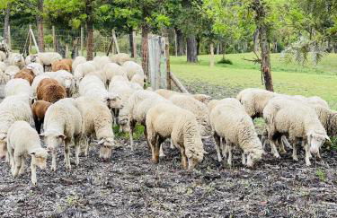 Monte do Lago, Pegões - Foto 65