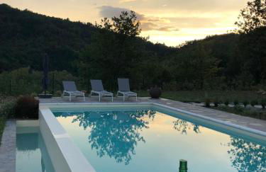 360 views, private infinity pool, Pisa, Lucca, Florence, large garden - Foto 59