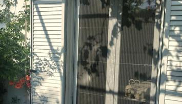 Kleines gemütliches Studio mit Terrasse, im Grünen gelegen - Foto 4