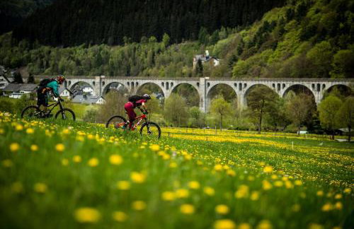 Ferienwohnung Sommerwind - Photo 26