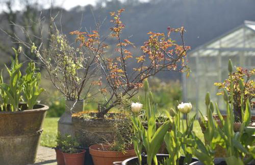 Dandelion Cottage, Amroth - Foto 21