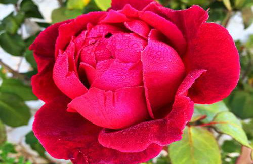 Vissala Village - Foto 30