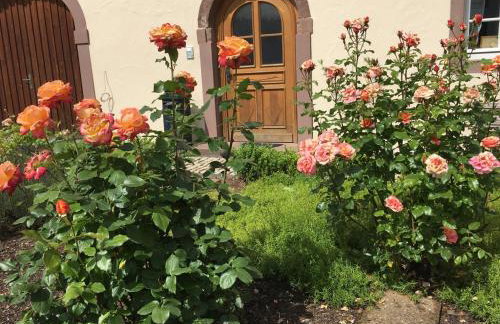 Ferienwohnung in historischem Bauernhaus in der Eifel - Foto 9