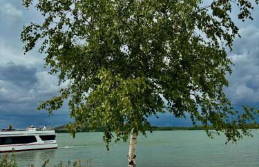 Ferienwohnungen Neuseenland - Foto 9