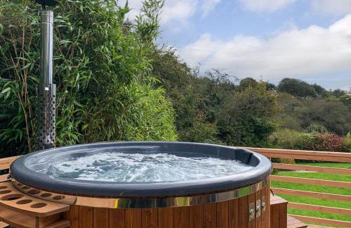 3 Bed in Llandysul oc-90019 - Photo 31