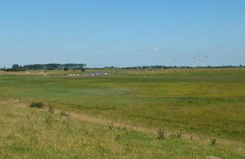 Ferienwohnung in Osterdeichstrich - Foto 18