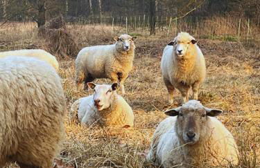 HAEVN Altes Pfarrhaus Marienfließ - Foto 34