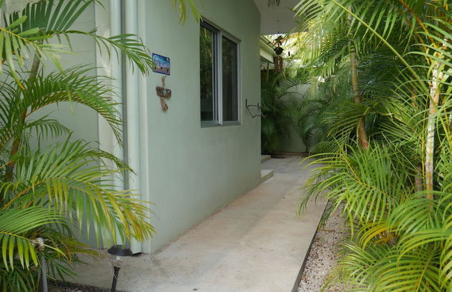 Cote Pacific Casitas - Photo 41