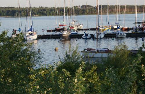 Modra Sikorka - Foto 18