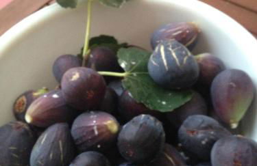 Finca Klara, Boutiquehotel - Apartment -Javea-Moraira- - Foto 65