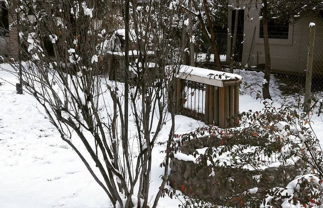 Dark Green House - Chacras de Coria - Photo 51