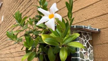 Una notte sul colle - Foto 4