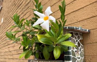 Una notte sul colle - Foto 4