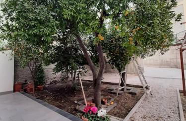 Lemon Tree casa vacanze nel verde - Photo 18