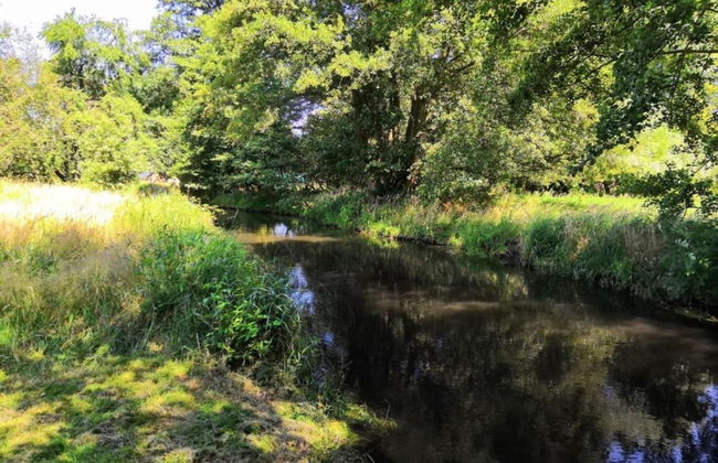 Waldblick Forest Retreat - Foto 30