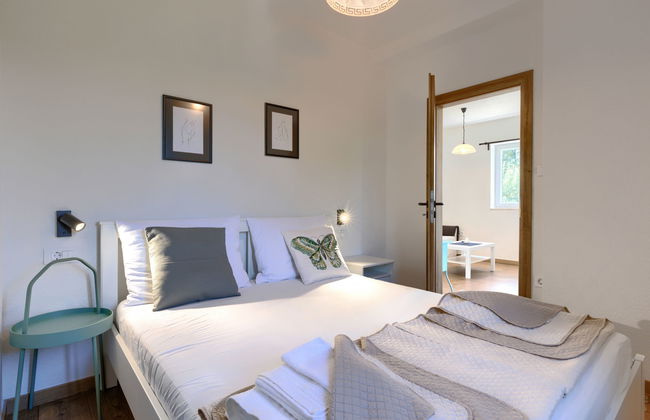 Klementini - Foto 33