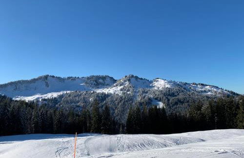 Ferienhof Wäldle - Wäldle 1 und Wäldle 2 mit Motorradvermietung - Photo 45