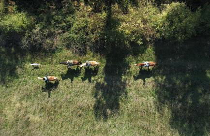 La Casella Antico Feudo di Campagna - Foto 108