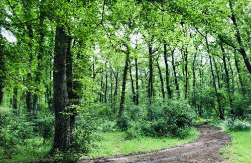 Il Pianerottolo - Foto 17