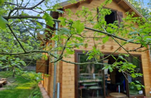 Przystań Zakapiora - Foto 1