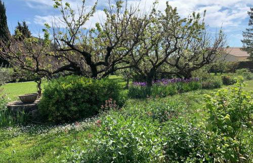 Les Grillons Maison cozy avec grand jardin - Foto 26