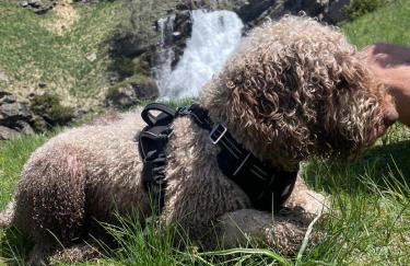 Apartahotel Canfranc - Foto 84