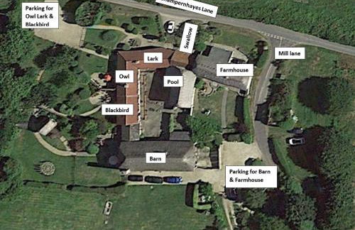 Owl - Ukc6107 - Photo 11