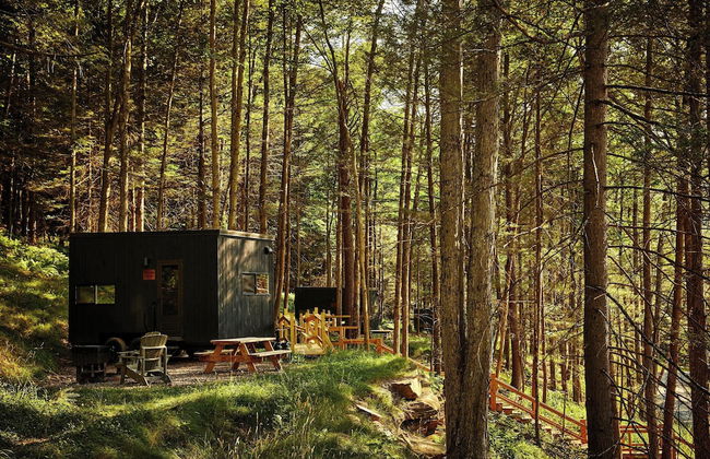 Postcard Cabins Hill Country, Outdoor Collection by Marriott Bonvoy - Foto 35