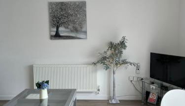 Penthouse Apartment with seaviews - Foto 4