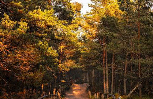 Dymnica 5- dom wakacyjny blisko Sasina i Łeby - Foto 54