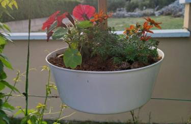 Holiday House Gloria Srima - Foto 44