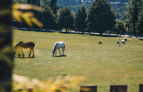 Quinta Do Padrao - Foto 39