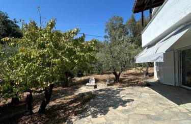 Villa Helga by the Sea - Photo 13