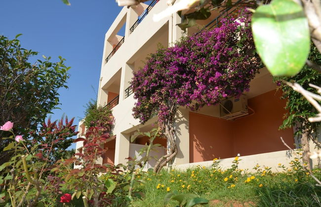 Pegasus Hotel - Foto 12