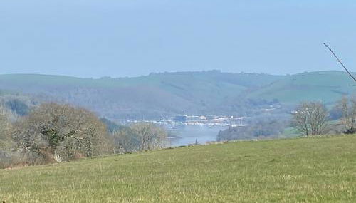 Dart Dream - Photo 2