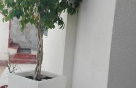 ANTICO CORTILE Favignana - Foto 33
