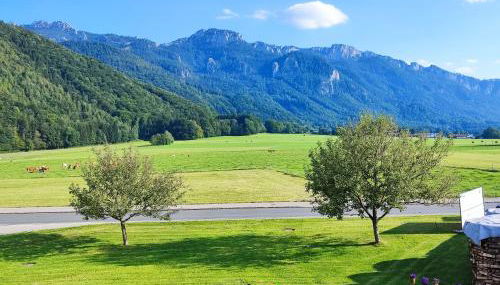 Ferienwohnung Haindorfer Berg - Foto 5