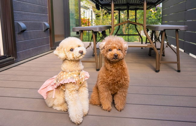 Rakuten STAY VILLA Yatsugatake - Foto 60