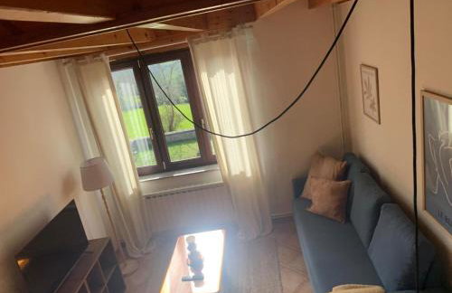 Escuelas de collía B AT-1537-AS - Photo 12